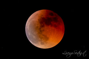 Eclissi di Luna 2011 Canon 50d Telescopio 80ed.