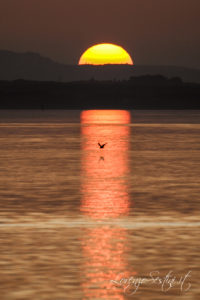 Tramonto Passignano sul Trasimeno