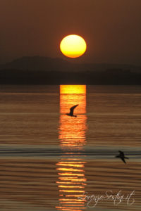 Tramonto Passignano sul Trasimeno