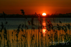 Tramonto Lago Trasimeno