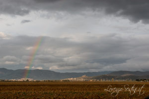 Paesaggio Arcobaleno Val di Chiana