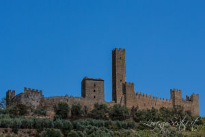 Paesaggio Castello di Montecchio