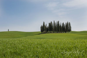 Paesaggio Val d'Orcia