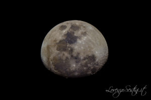 Luna con telescopio 200-1000 Canon 40d