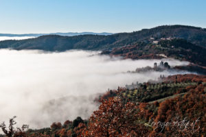 Paesaggio Nebbia