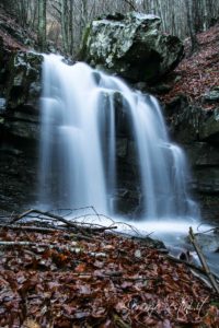 Torrente in Pratomagno