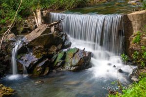 Torrente Falterona