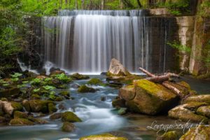 Torrente Falterona