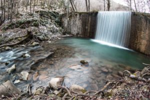 Torrente Falterona