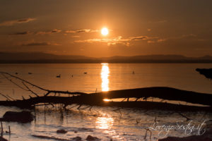 Tramonto sul Lago