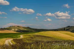 Paesaggio Sito Transitorio