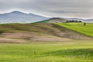 Paesaggio Val d'Orcia