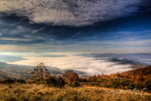 Paesaggio Nebbia Val di Chiana