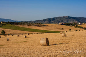 Paesaggio Val di Chiana