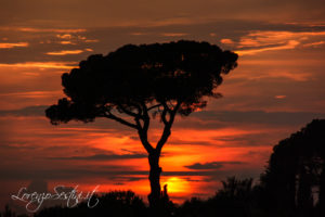 Tramonto ad Arezzo con Pino 