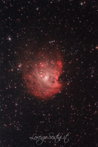 Ngc2174 testa scimmia