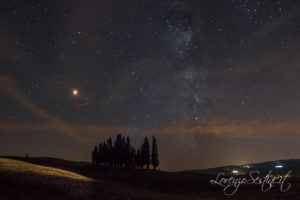 Cipressi Val'd'Orcia