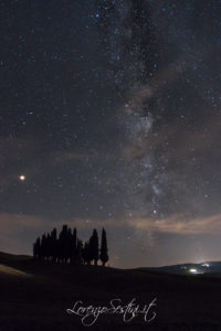 Cipressi Val'd'Orcia