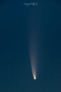 Cometa Neowise 