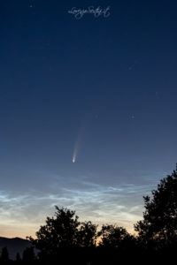 Cometa Neowise 