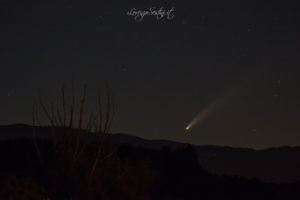 Cometa Neowise 