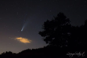 Cometa Neowise 