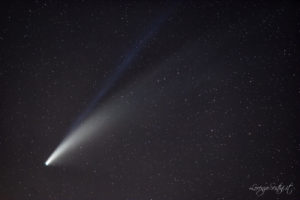 Cometa Neowise 