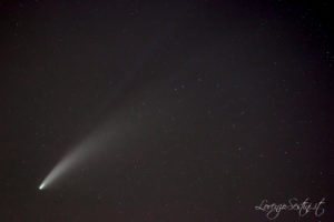 Cometa Neowise 