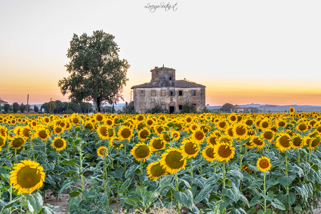 Campagna toscana