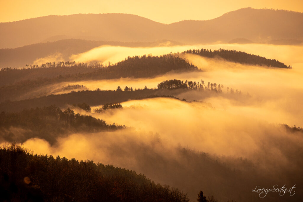 Paesaggi Nebbia