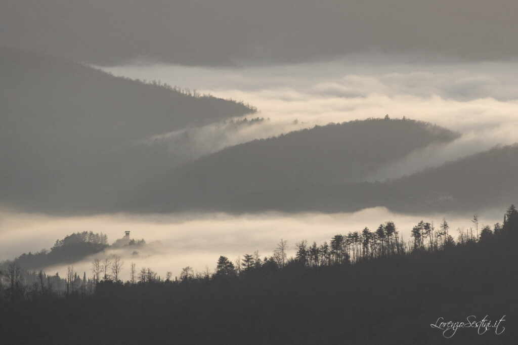 Paesaggi Nebbia